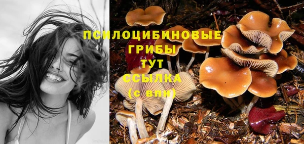 гашик Верхний Тагил