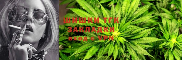крисы Верея