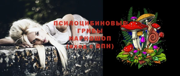 ПСИЛОЦИБИНОВЫЕ ГРИБЫ Бугульма