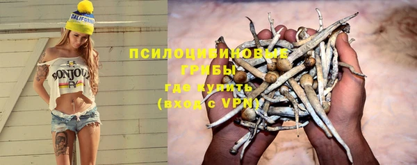 ПСИЛОЦИБИНОВЫЕ ГРИБЫ Бугульма