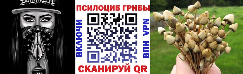 Псилоцибиновые грибы Magic Shrooms  Дербент 