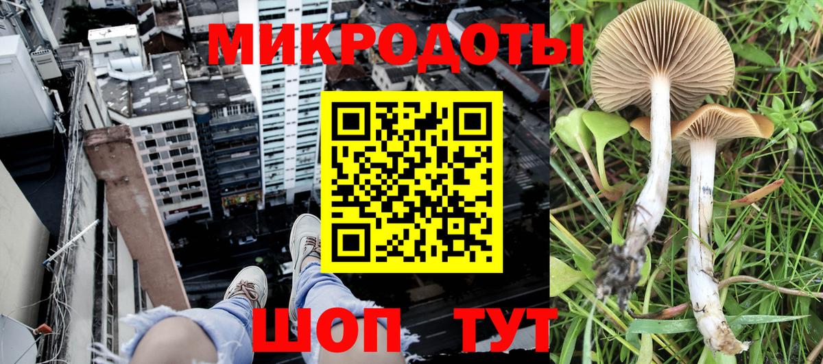Псилоцибиновые грибы ЛСД Дербент