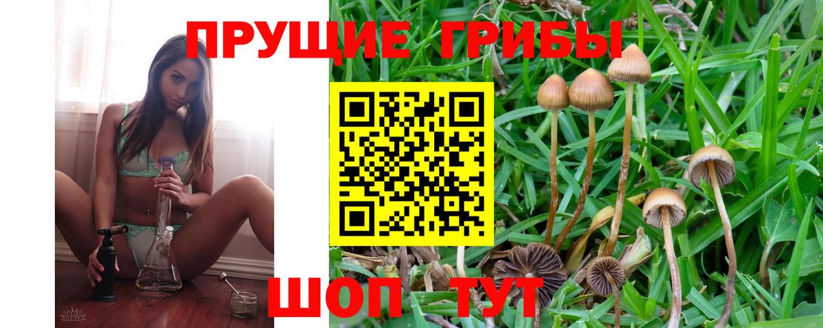 цены   Вход с VPN  Дербент  Псилоцибиновые грибы MAGIC MUSHROOMS 